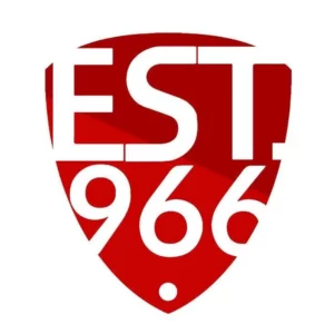 EST 966 - koszulki t-shirt gładkie i na każdą okazję